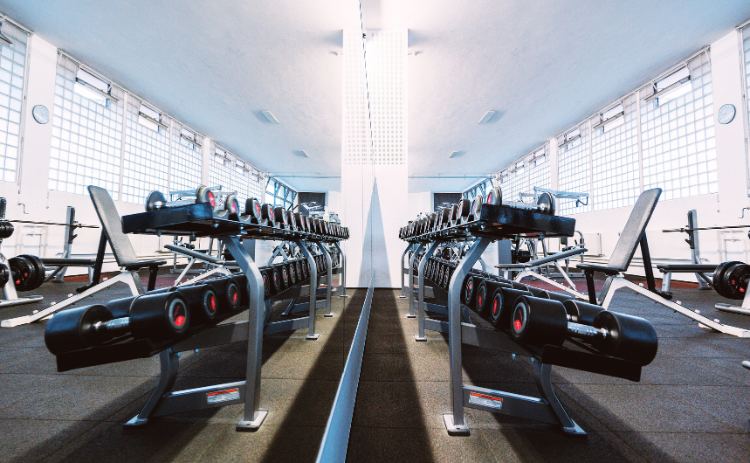 kraftaufbau gewichte Fitgroup 750